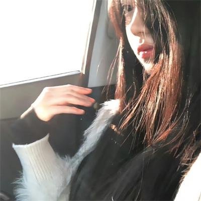 一个叫欧维的男人决定去死