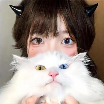 逐梦好莱坞